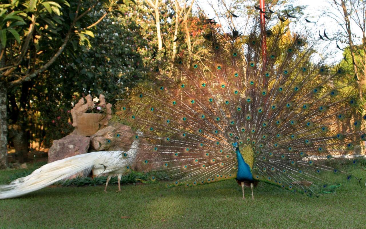 Villa Buonabitacolo Sao Joao del Rei Luaran gambar